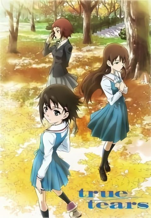 真实之泪 2008 动漫海报