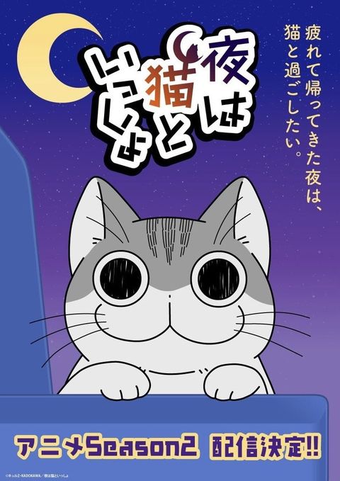 关于养猫我一直是新手 第二季 2023 动漫海报