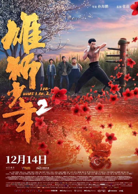 雄狮少年2 2024 动漫海报