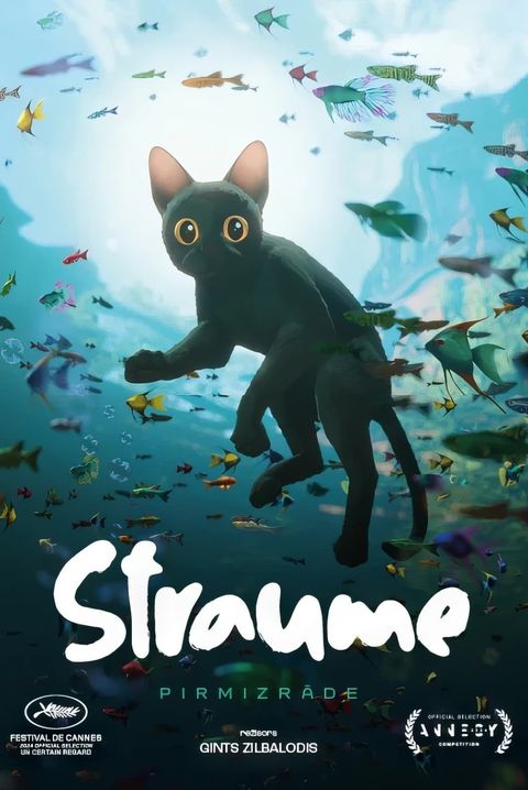 猫猫的奇幻漂流 2024 动漫海报